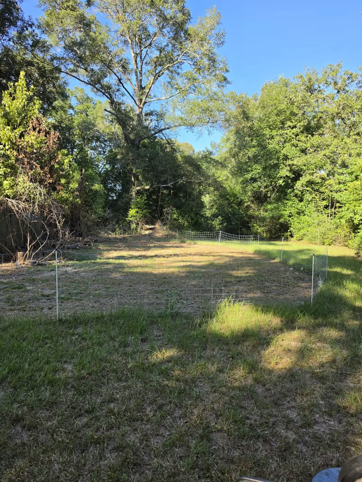 Starkline 35-inch electric fence netting installed around the goat area